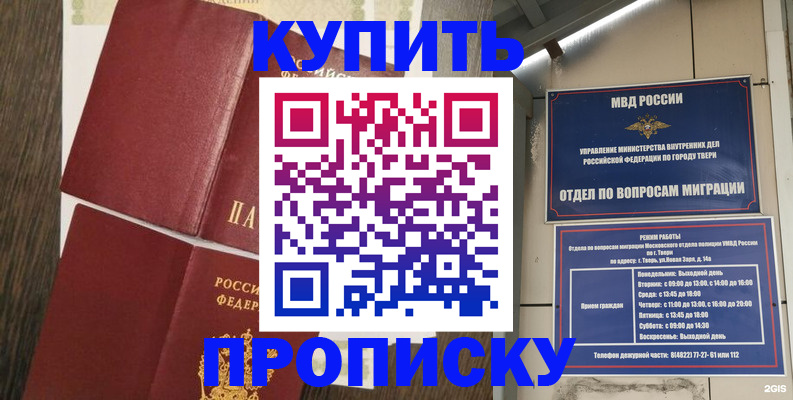 прописка 2025 в Елизово